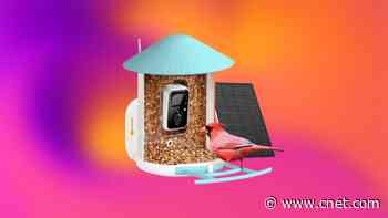 With $85 Off at Amazon, This Smart Bird Feeder Is a Cheep Buy This Black Friday