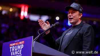 Musk wird Trumps „Kostensenker“– „Genau das fehlt uns in Deutschland“