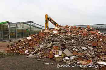 Bagger statt Badewanne: Nieheimer Baumarkt ist Geschichte