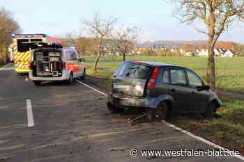 Mutter und Baby bei Unfall nahe Steinheim verletzt