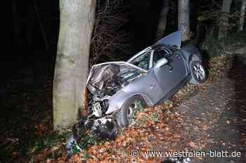 18-Jähriger prallt mit Mercedes SLK vor Baum