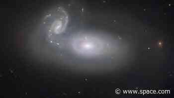 Galaxies get tangled up in 'the queen's hair' in new Hubble Telescope image