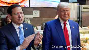 Trump taps Florida Sen. Marco Rubio to serve as secretary of state