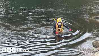 Water firm spends £6.8m keeping eels out of pipes
