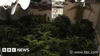 Pair jailed after £1m cannabis farm found in office