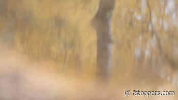 Three Steps to More Expressive Landscape Photography