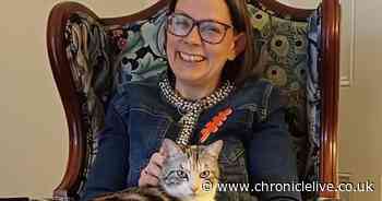 Bishop of Newcastle's cat in running to become UK's next 'Purr Minister'