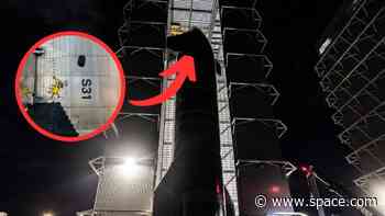 SpaceX rolls Starship Flight 6 spacecraft to pad ahead of Nov. 18 launch — and it's wearing a banana (photos)