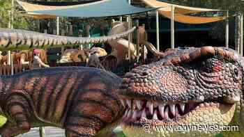 Visit Florida reports record summer tourism in the state