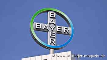 Bayer: Hedgefonds wettet 100 Millionen Euro gegen Bayer