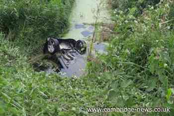 Drink-driver 'extremely lucky to be here' after he plunged car into Cambridgeshire ditch