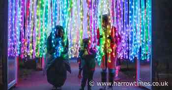 Kew's magical Christmas light trail is London's biggest and best