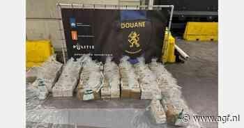 Douane onderschept 720 kilo cocaïne tussen bananen in haven Vlissingen