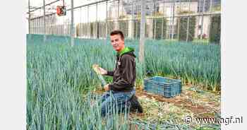 "De vraag naar vergeten groenten is de laatste decennia toegenomen"