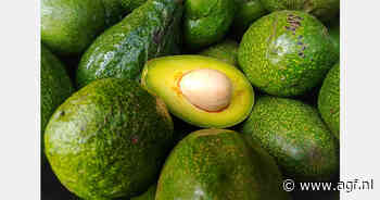 "Wij hebben geen startdatum opgelegd voor Marokkaanse Hass-seizoen"