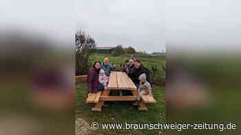 Von Wendeburg zum Harz schauen