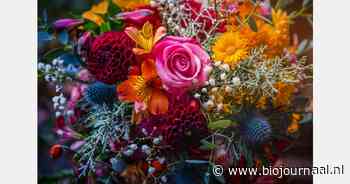 "Gemeente mag alleen nog biologische bloemen cadeau doen"