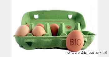 Verplicht eieren stempelen op het eigen bedrijf