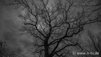 Stromversorgung bei Dunkelflaute: "Bei tiefen Temperaturen darf nicht mehr viel schiefgehen"