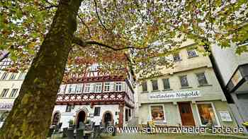 Fall für einen Investor?: Das plant   Nagold mit dem prominent gelegenen Altbau