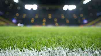 Aller guten Dinge: BVB-Stadion bekommt dritten Rasen der Saison