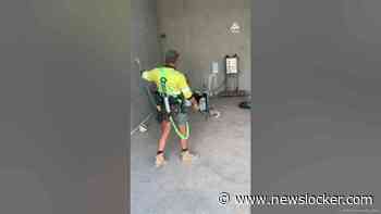 Watch him nail this hammer-to-basket challenge! #trickshots