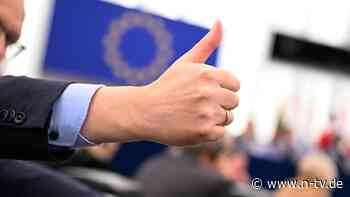 Umstrittene Mehrheit: AfD sichert CDU-Waldschutzplan im EU-Parlament