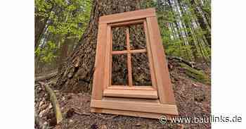 Die Fensterconnection Fecon setzt auf Douglasie statt sibirischer Lärche