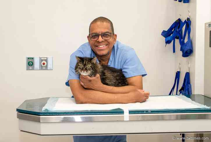 From the farms on Guyana to the Boogie Down Bronx