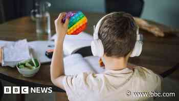 'She stopped eating' - Why home education is rising