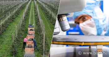 Eén op de negen nieuwkomers in Landsmeer is een arbeidsmigrant of meegereisd gezinslid