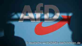 AfD verhilft CDU-Anträgen in Europaparlament zu Mehrheit