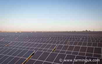 Plans to build UK’s largest solar farm submitted to government