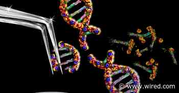 The First Crispr Treatment Is Making Its Way to Patients