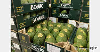 "Er zouden minder avocado's zijn, maar in veel gebieden zal de oogst met 30% toenemen"
