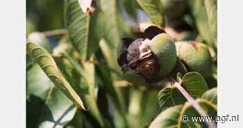 "De marktprijzen van vorig jaar waren allesbehalve duurzaam"