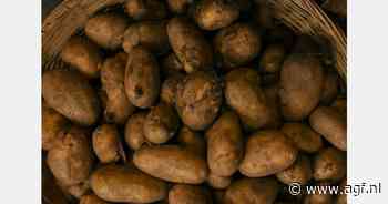 Dominica wil meer pootaardappelen importeren