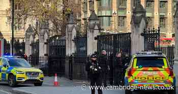 Cambs man charged after 'incident' near Parliament wanted to see Boris Johnson