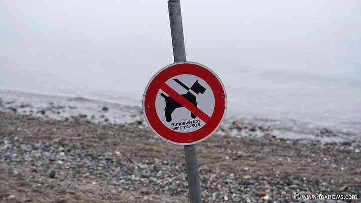 Welsh government advised to create dog-free zones to combat racism