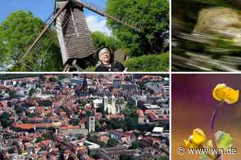 Der zweite Blick auf Münster und die Region – in zehn Multimediaschauen