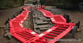 Hull Parkrun announces comeback date after East Park footpath works delayed