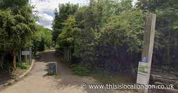 Decision made on proposed cuts at RSPB Rainham Marshes