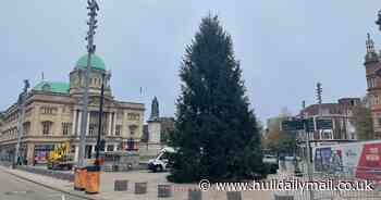Excitement builds for Christmas lights switch-on as tree arrives in Hull city centre