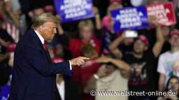 "Elon Musk sagt das auch": Trump-Trade: Scaramucci warnt vor Börsencrash wie in den 20er Jahren!