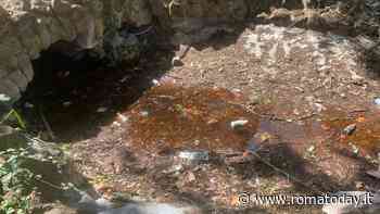 Villa Paganini, il laghetto è a secco e degradato. Pronti i lavori per farlo tornare attivo