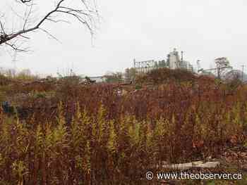 Point Edward, Sarnia land dispute hearing set for February