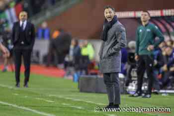 Mannaert heeft al meteen een héél belangrijke taak: "Of Tedesco daarvoor open staat? Ik denk dat hij zal moeten"