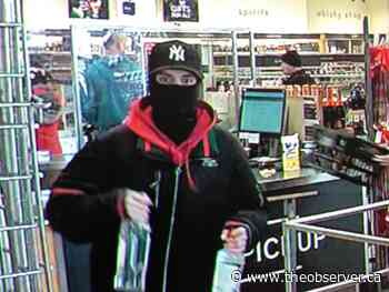 Sarnia man jailed eight months for injuring elderly volunteer while stealing booze