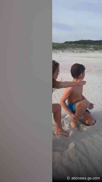 WATCH:  This penguin was found very far from its home in Antarctica