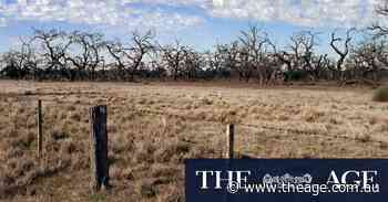 Bushfire warning as residents of small town told to evacuate